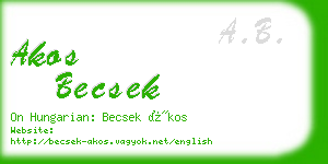 akos becsek business card